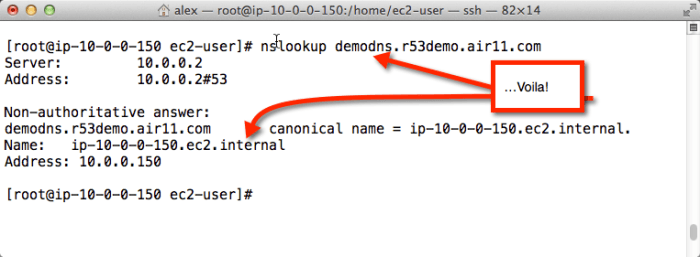 Thinking aloud How to set up AWS DNS in a VPC