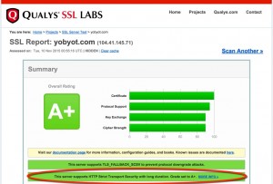 SSL Labs rates this blog A+ because of Strict Transport Security